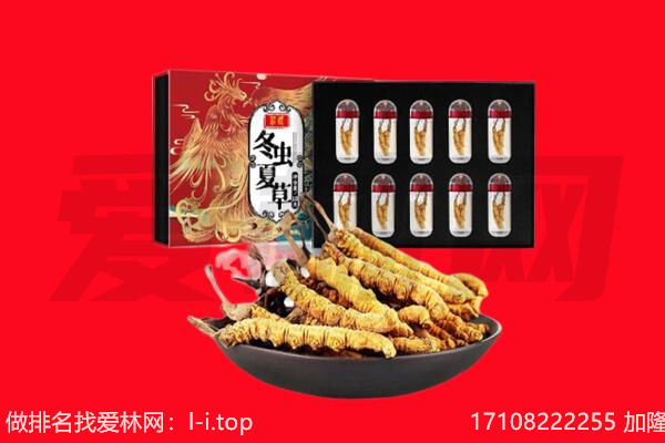 鞍山海城市回收虫草.jpg
